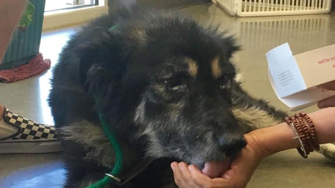 Those eyes say it all