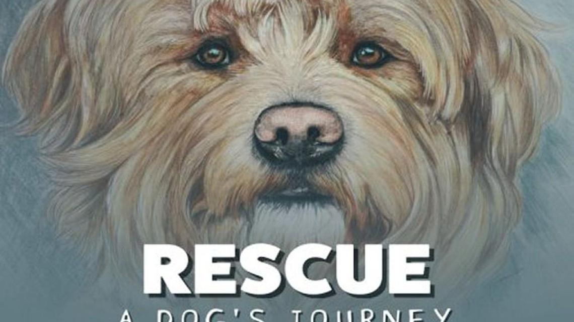 Rescue of local puppy leads to book