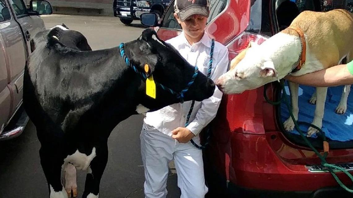 Ag program makes learning fun