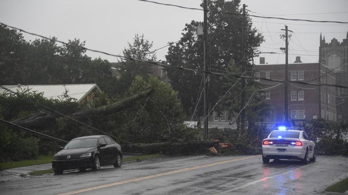 When Irma hit as a tropical storm, there was danger for everyone, including pets.