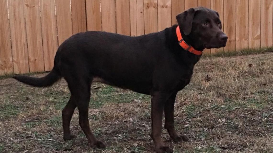 Maddie’s miracle carries a lesson