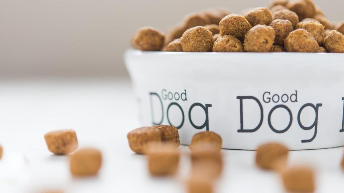 Think of donating dog food during this season of giving