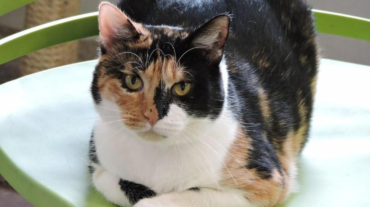 April is about 2 years old.