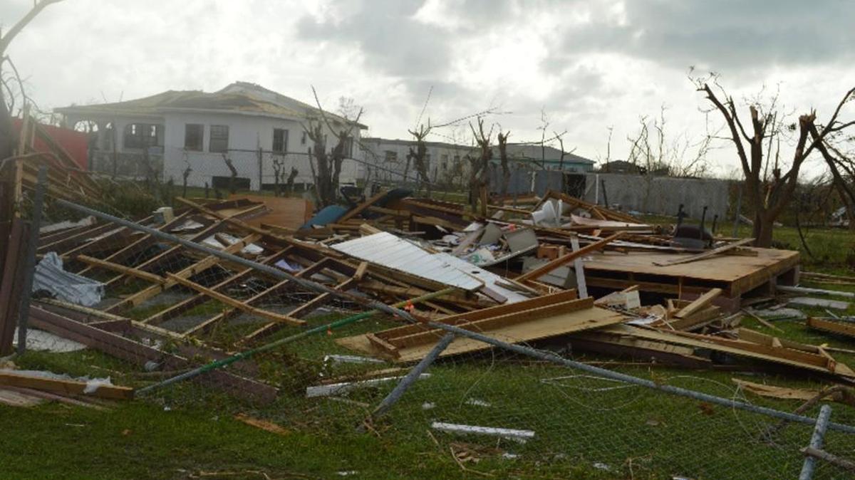 When a natural disaster such as Hurricane Irma hits, pets need to be a concern.
