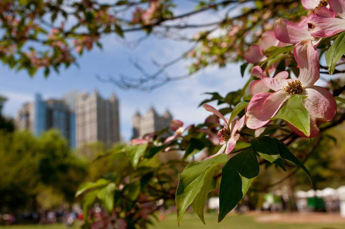 Georgia Tops US Summer Travel Rankings