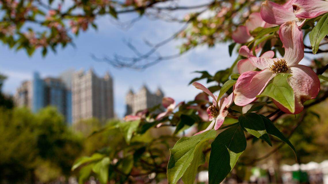 From Innovation to Art, Here’s Three Reasons to Point Your Car Toward Atlanta This Spring