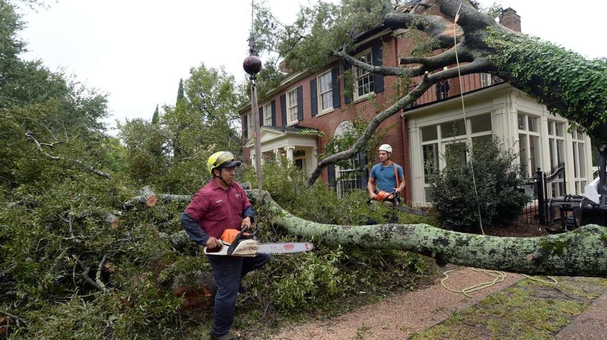 Still attached to a large crane, workmen cut a large section of a tree that fell against the roof of Jared Cozart's home on Stanislaus Place on Sept. 11, 2017, as Tropical Storm Irma passed through Macon.