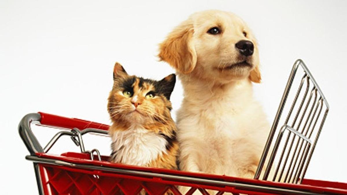 South Carolina Regulation 61-25 generally prohibits pets on the premises of retail food establishments.