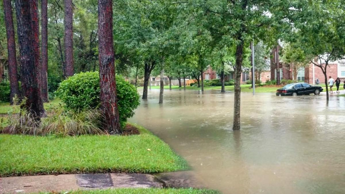 Cars and street inundated by Hurricane Harvey floodwaters in Clear Lake City, a suburb of Houston, Texas.