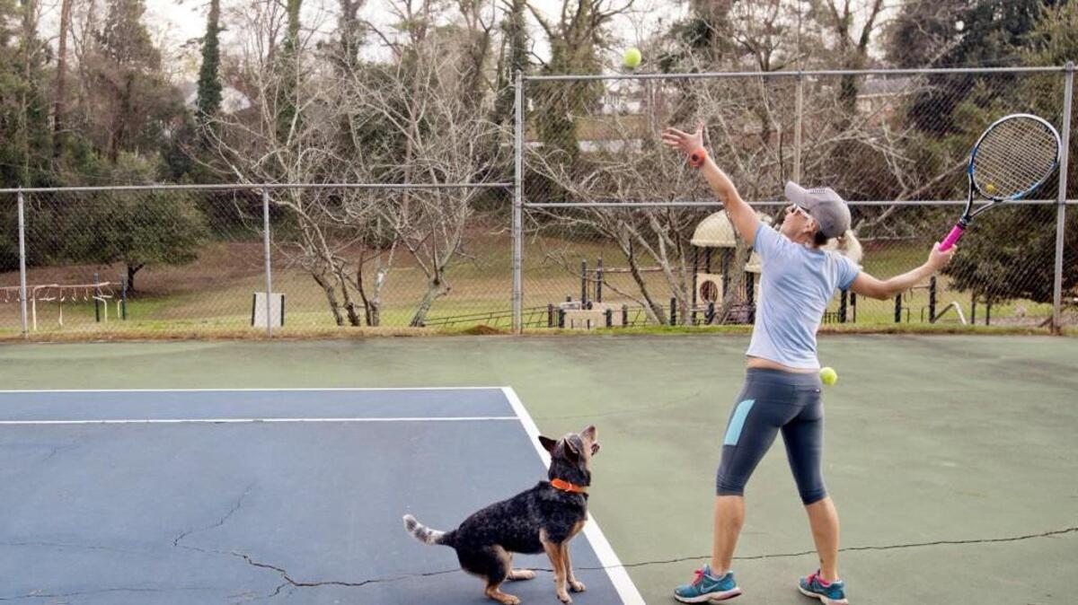 Kristie Marshall serves tennis balls for her Blue Heeler Jude at Henry Burns Park Wednesday afternoon.