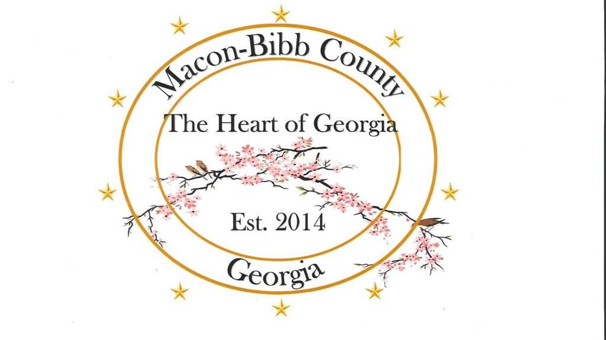 Proposed official Macon-Bibb County flag