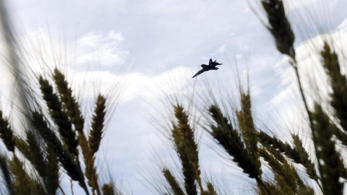 File Photo - A Blue Angel F/A-18 Hornet flies over a field of wheat North of Robins Air Force Base.