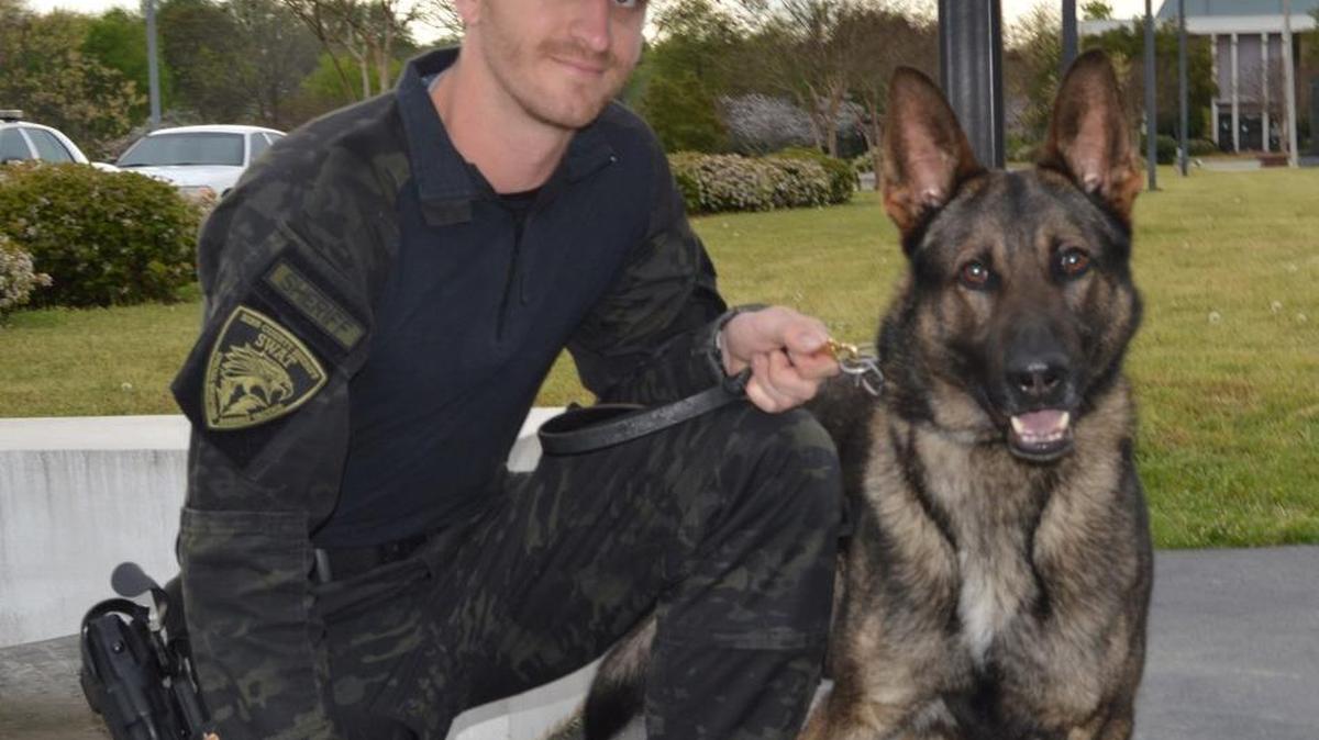 Macon-Bibb County sheriff’s investigator T.J. Freeman and K9 Bojar