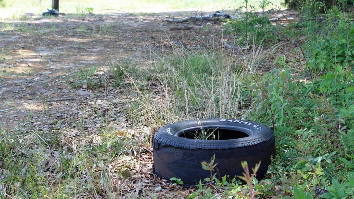 Houston County officials hope a free tire disposal event this week will cut down on illegal dumping, like this tire left in a vacant lot on Walnut Street in Warner Robins.
