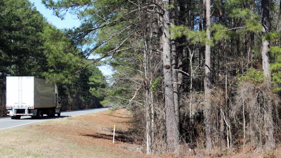 Anyone who cuts a tract of timber in Houston County like this shown off Ga. 247 will have to get a permit under a proposed county ordinance.