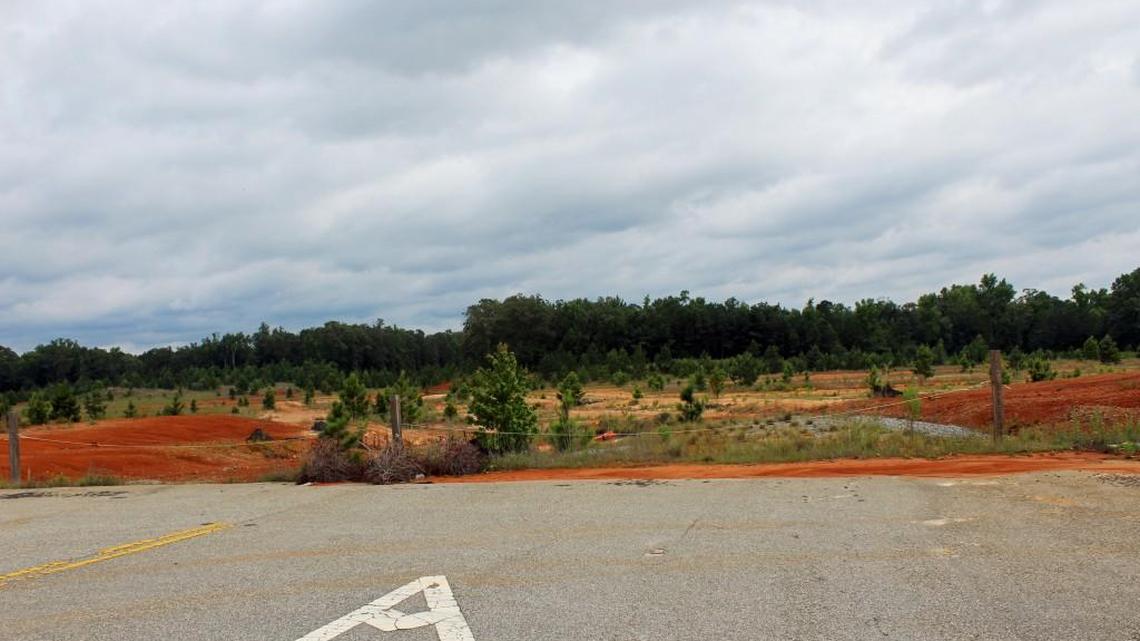 Warner Robins and Peach County have joined forces to buy a tract of land for industrial development behind this tract on the south side of the Ga. 247 connector that was cleared years ago for commercial use but never developed.