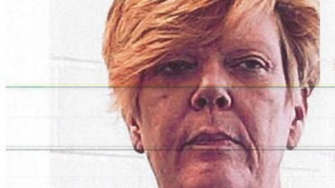 Carol Ann Van Nostrand