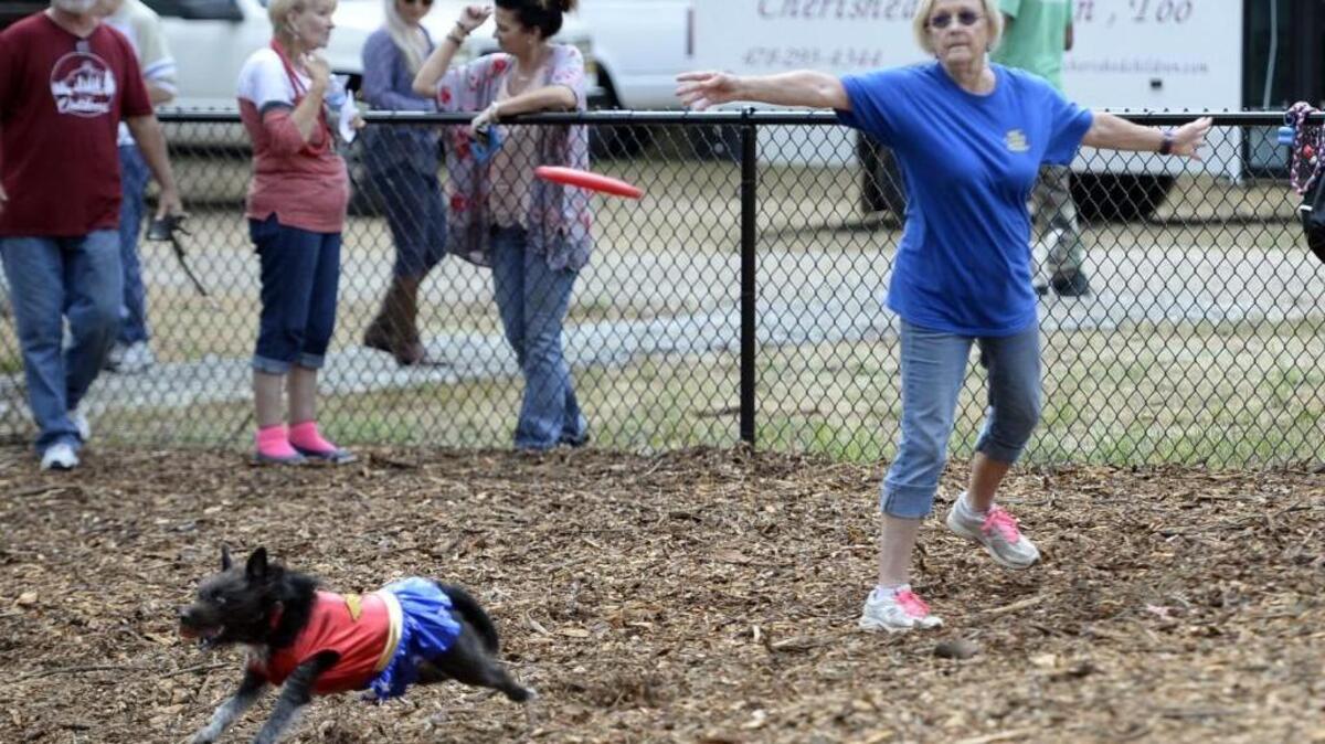 Peggy Stephens slings a flying disk for her best friend, Raggedy Ann, at the new Warner Robins dog park in August.