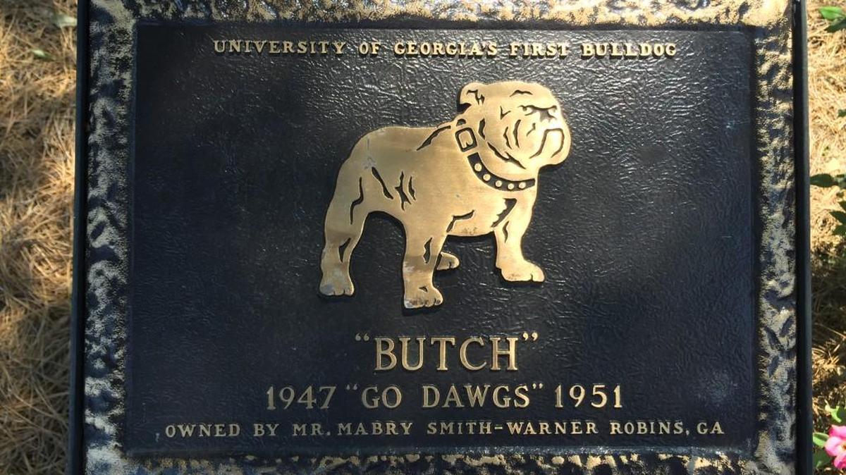 Pictures like this, of the plaque at the Warner Robins visitors center commemorating Butch, the University of Georgia mascot from 1947-195, and many more are needed for a book about the city’s history.