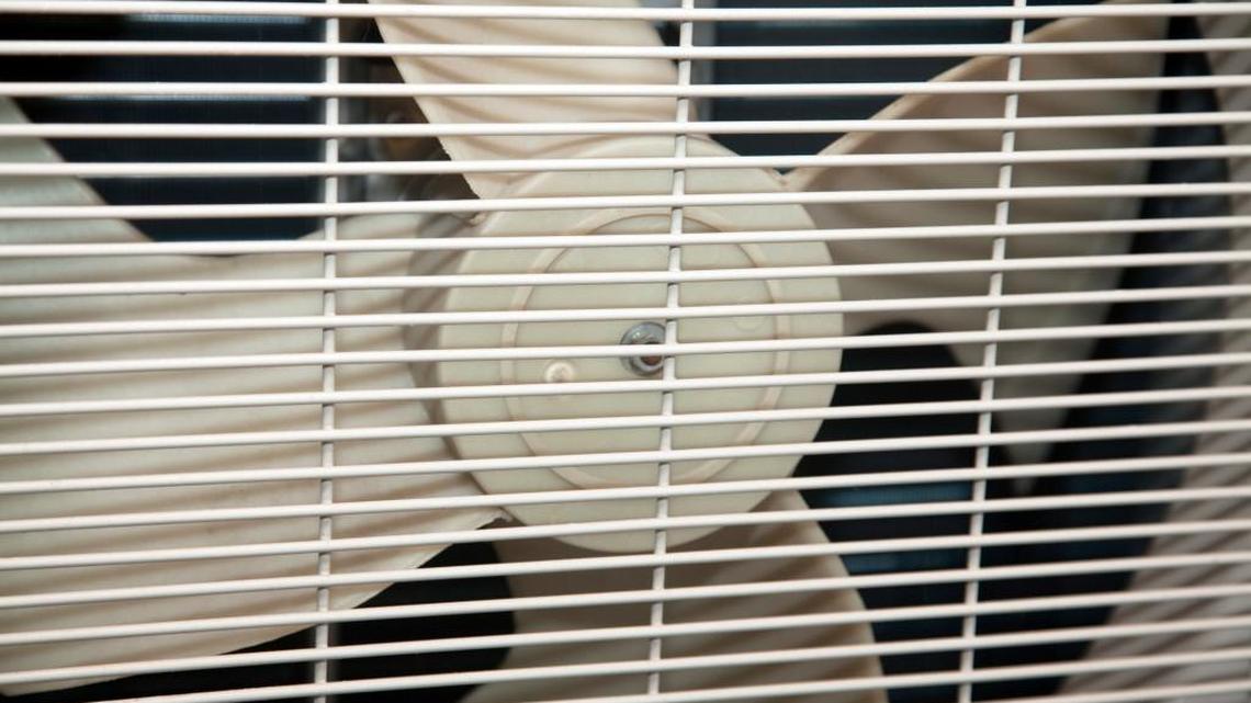 Fans can make you a hero to Meals on Wheels folks