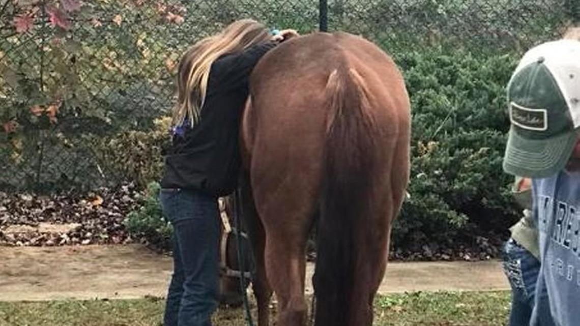 Locust Grove police posted this photo of the happy reunion after stolen horses were recovered Sunday.