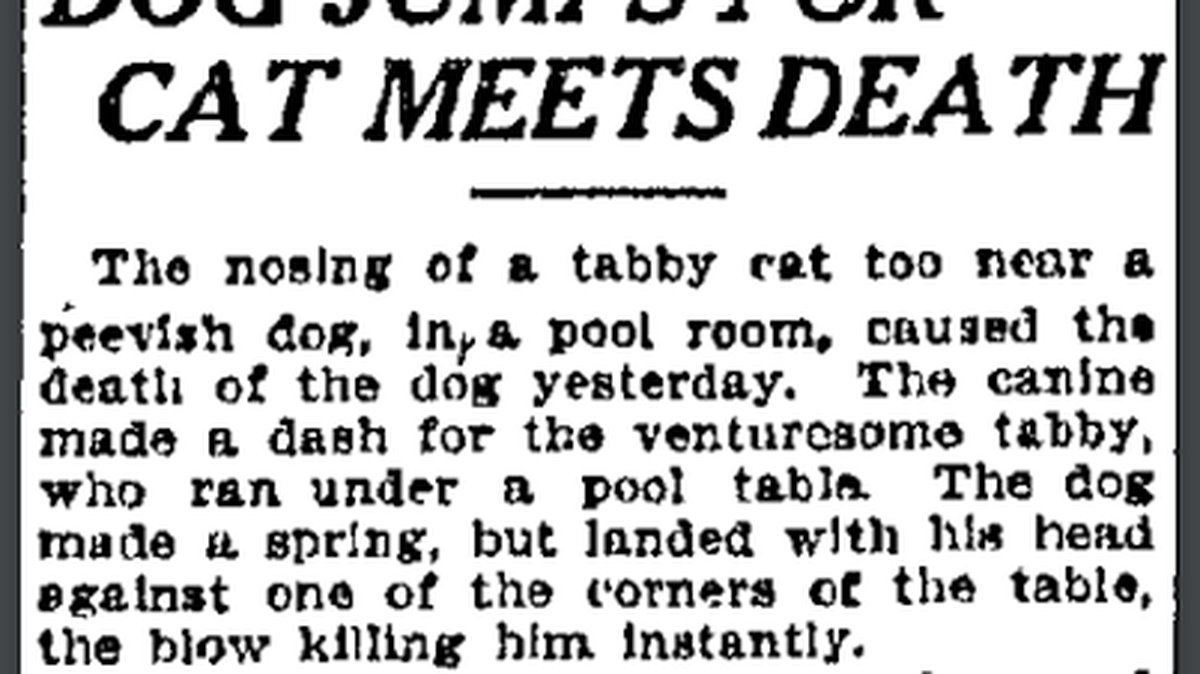 Macon Daily Telegraph, December 1920