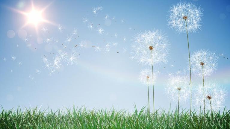 When will spring weather start in Youngstown Ohio and how warm will it get? Here’s the forecast