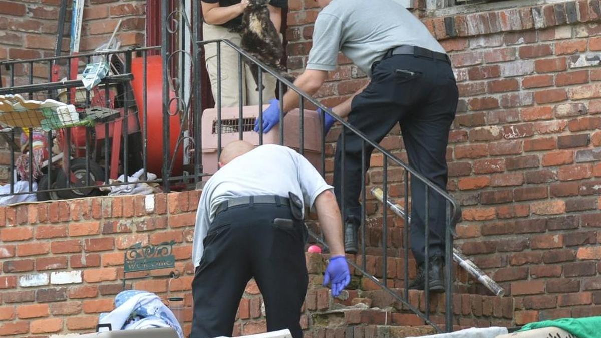 Macon-Bibb County Animal Control officer Cson Johnson removes one of thirty cats found at a residence in this April 9, 2015, file photo. Under a fiscal 2018 budget proposal, animal control would move under the umbrella of the Bibb County Sheriff’s Office.