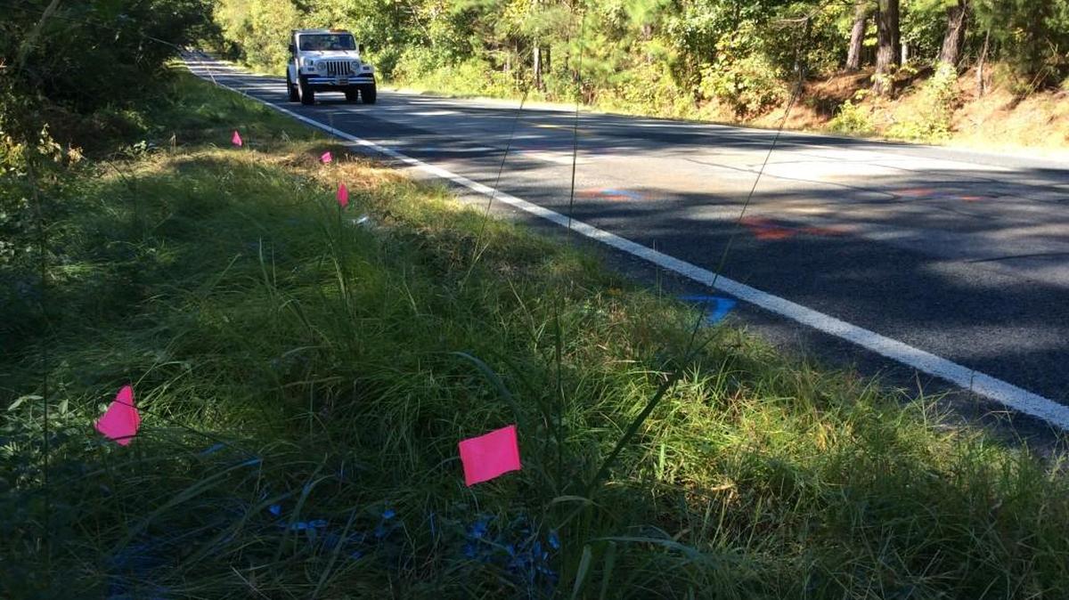 Pink flags mark the scene of a fatal accident that killed Allison Everett and her brother David Black in the 300 block of Lake Laurel Road outside of Milledgeville at about 11:45 p.m. on Oct. 10, 2016.