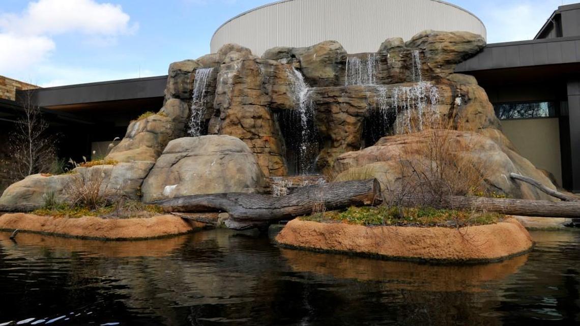 One of the freshwater aquariums is pictured at the Go Fish Education Center in Perry.