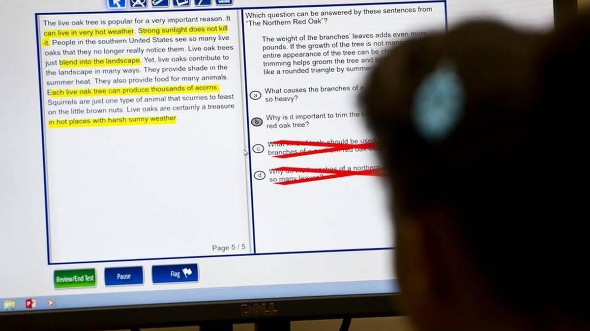 A Vineville Academy 4th grader practices taking the Georgia Milestone test in the school’s computer lab. Learning to use the online tools like the red x to mark answers the student knows is wrong in just one of the test taking strategies the school teaches.