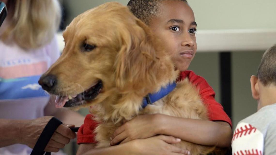 Good Grief camper T. J. Wilson gets a hug from therapy dog Chester last week during a three-day summer session at First Presbyterian Church in Warner Robins.