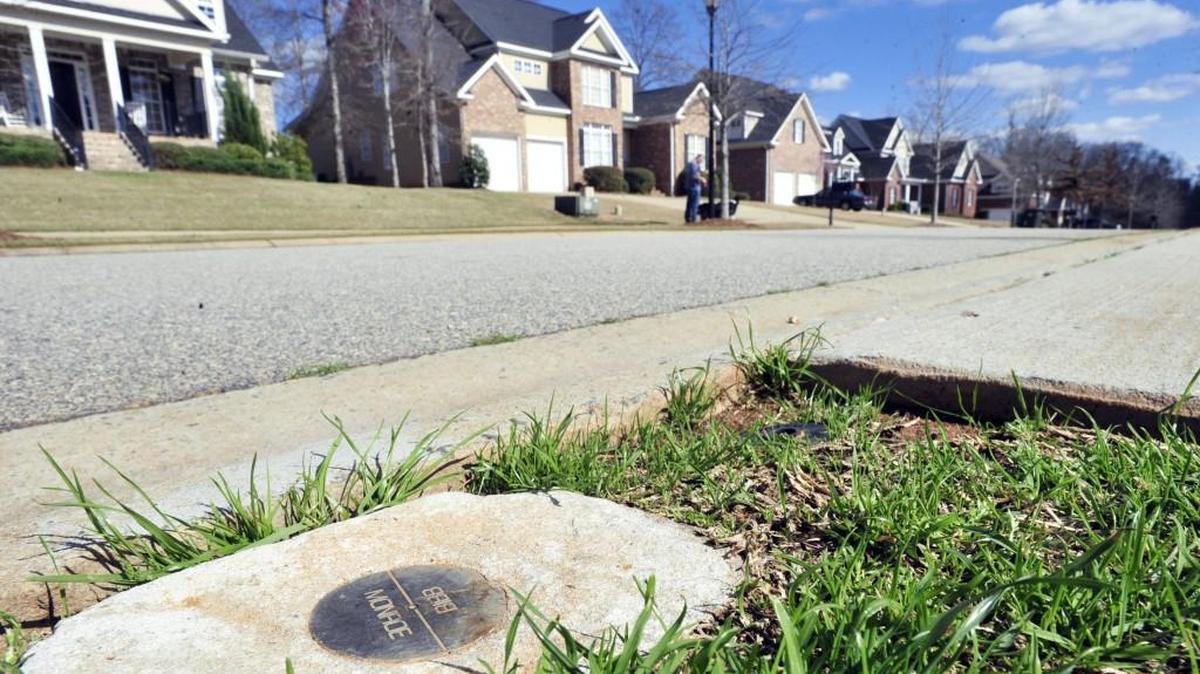 A marker left behind by surveyor Terry Scarborough as he tried to map a new location for the Monroe-Bibb County line in the Providence subdivision, shown in this 2011 file photo.