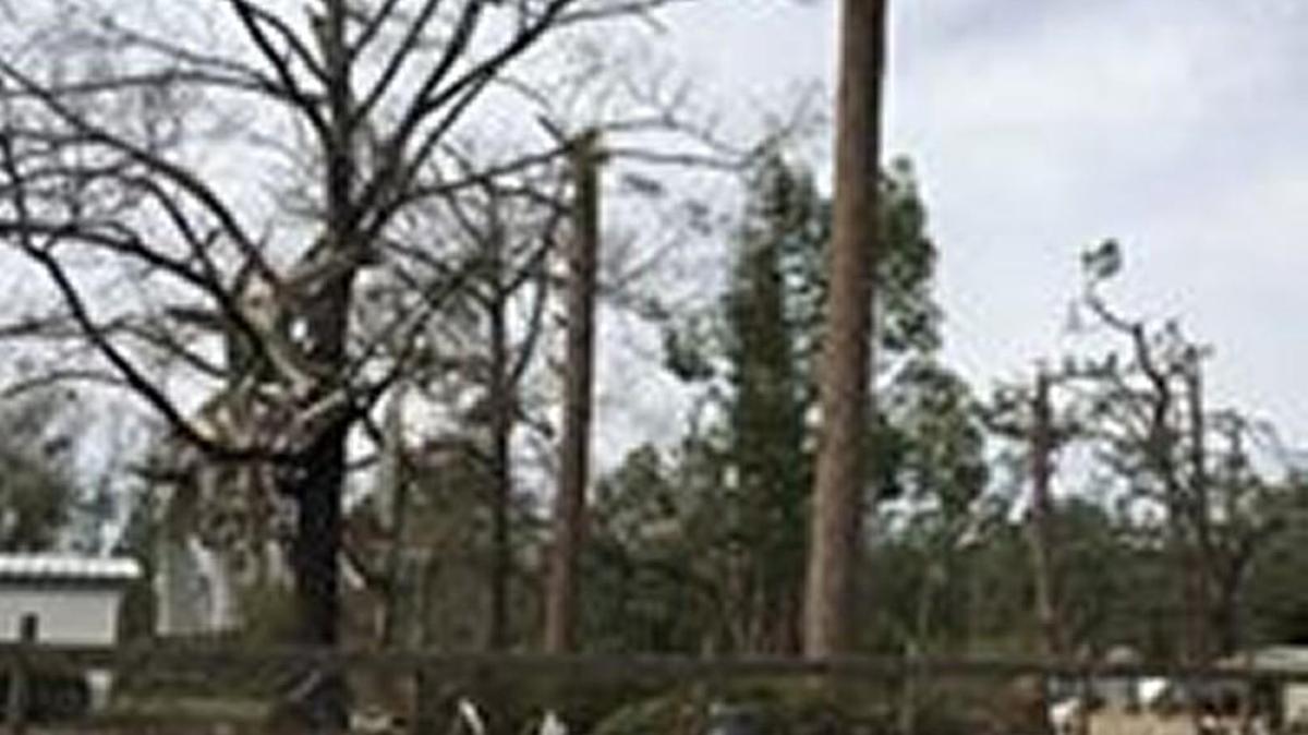 The National Weather Service released images of tornado damage in Mitchell County on Monday.