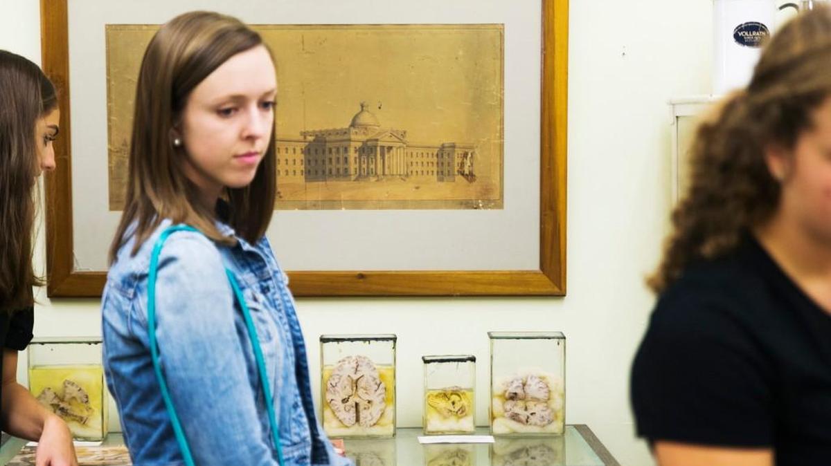 College students walk past the lobotomized brains below a drawing of the Powell Building at Central State Hospital inside the hospital museum.