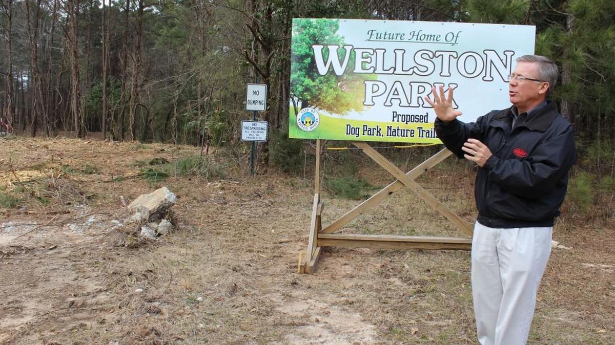 Jim Taylor, vice chairman of Wellston Trees and Greens, discusses plans for Wellston Park in Warner Robins in this file photo taken last February.