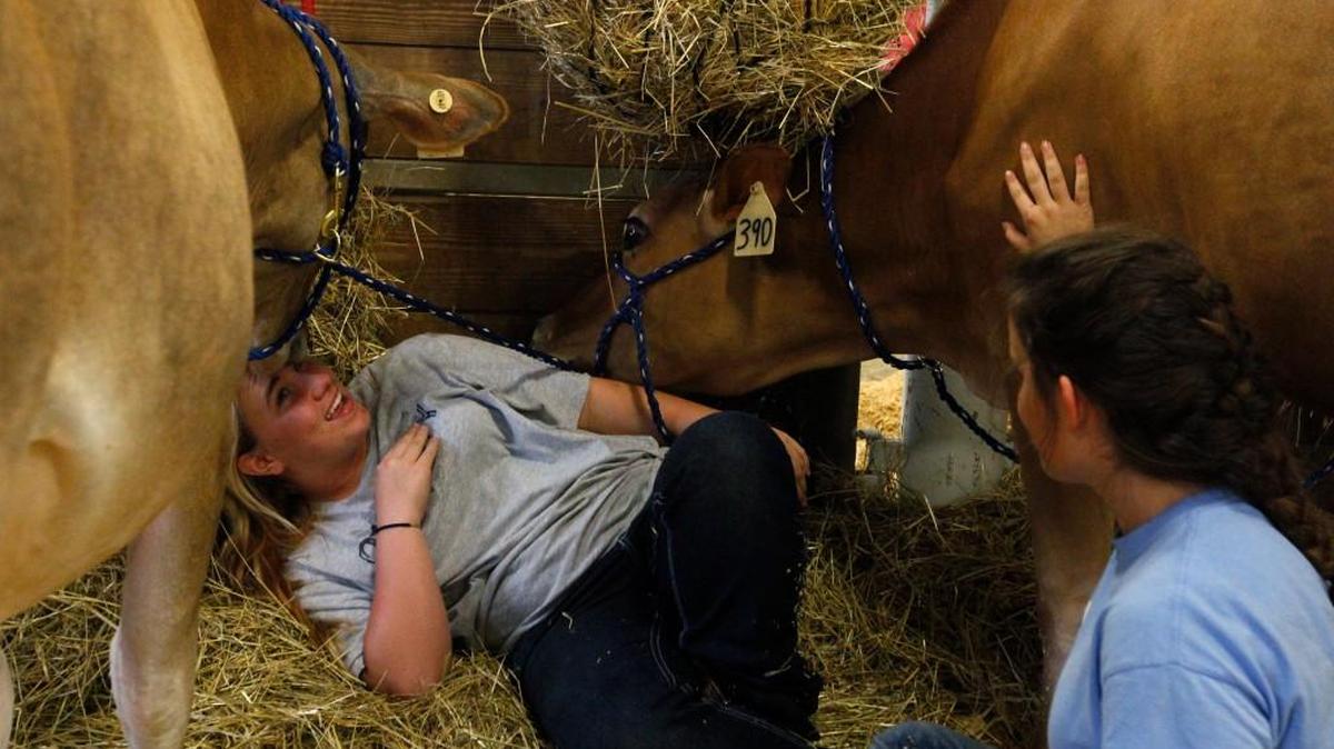 Camrye Powell, 16, left, and Jacy Sherman, 12, from Elbert County, Georgia, relax with cattle at the Georgia National Fair in Perry, Georgia, on Oct. 10, 2015.
