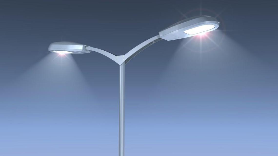 Businesses offer to brighten Macon parkway