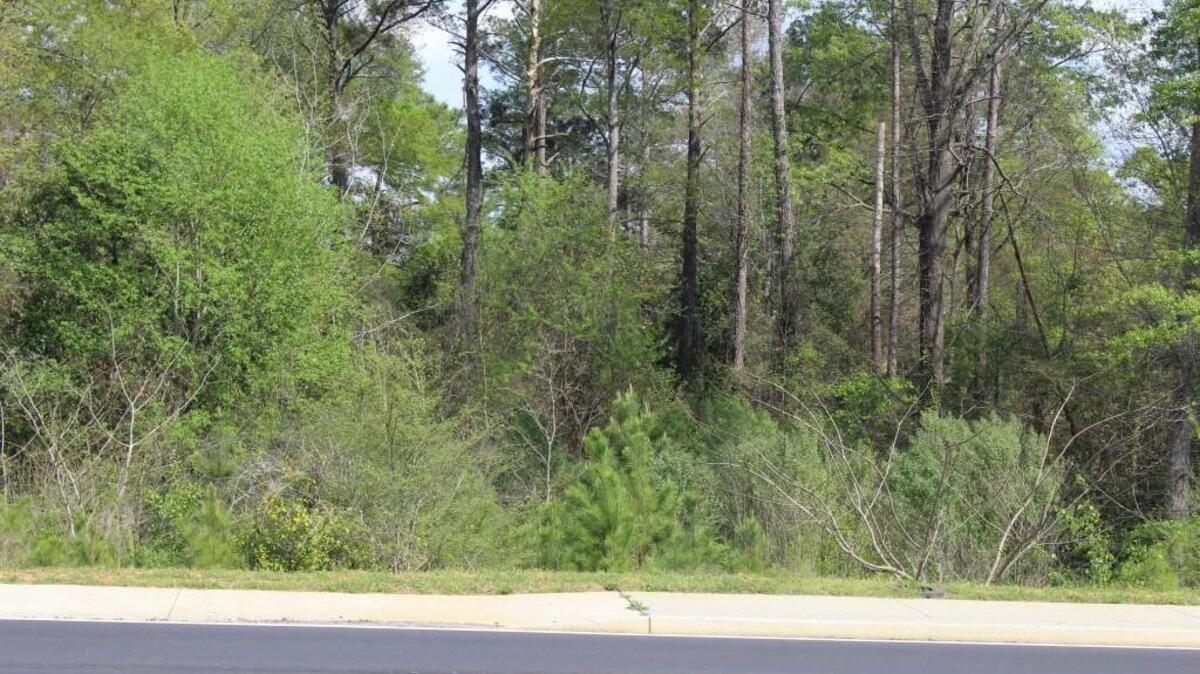 Houston County has this tract at 3008 Moody Road up for sale. It was acquired as a part of the widening of the road.