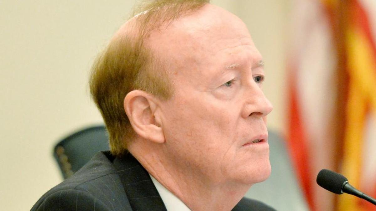 .Macon-Bibb County Commissioner Mallory Jones is seen in this 2015 file photo.