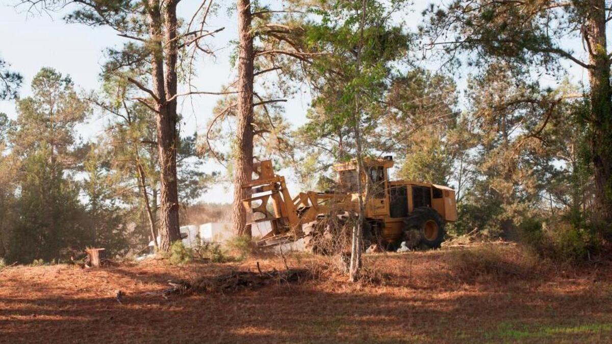 Earlier this year, crews began clear-cutting in the Interstate 16 median in spots between the Metter area and Savannah. While this picture doesn’t show it, the resulting land clearing is a stark sight to see.