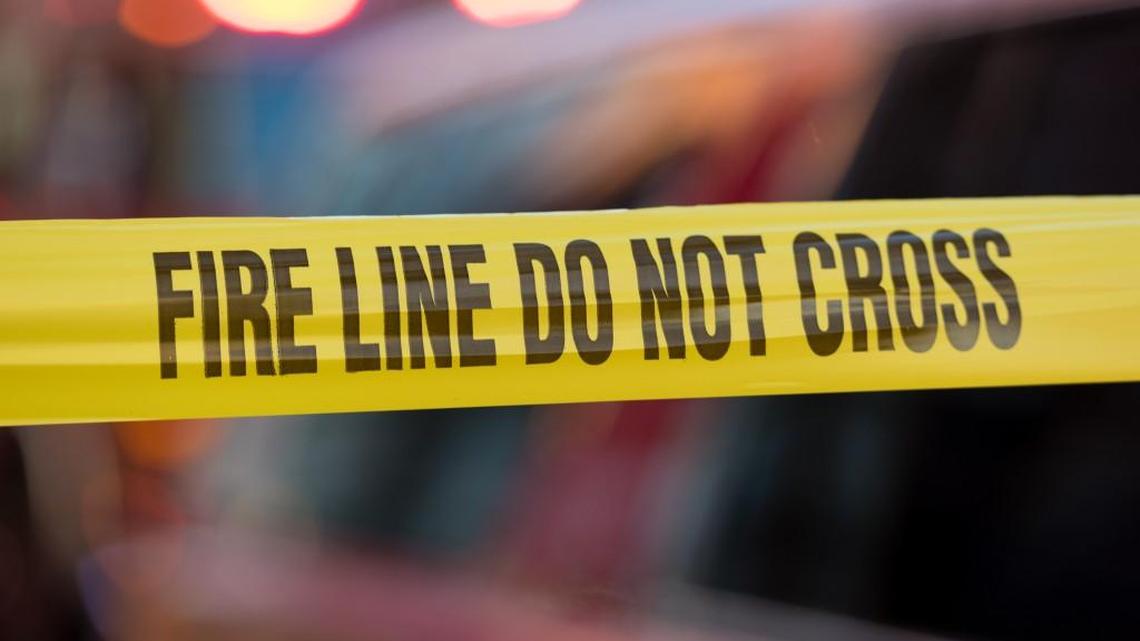 A 79-year-old woman died in a house fire early Saturday on Meadowbrook Drive