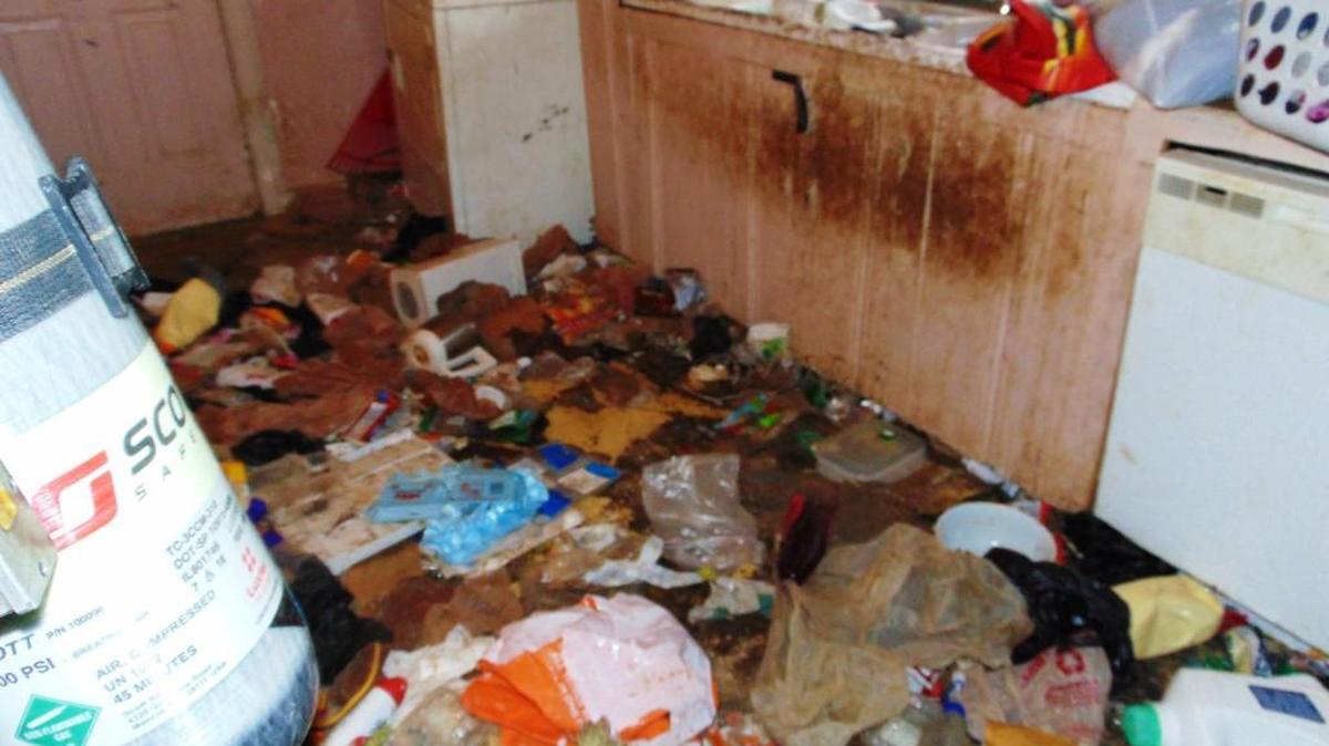 Four people have been arrested after two children and 31 animals were removed this week from a Troup County home described as “deplorable” and “completely unsafe for habitation” by Hogansville Police Chief Chief Brian Harr.