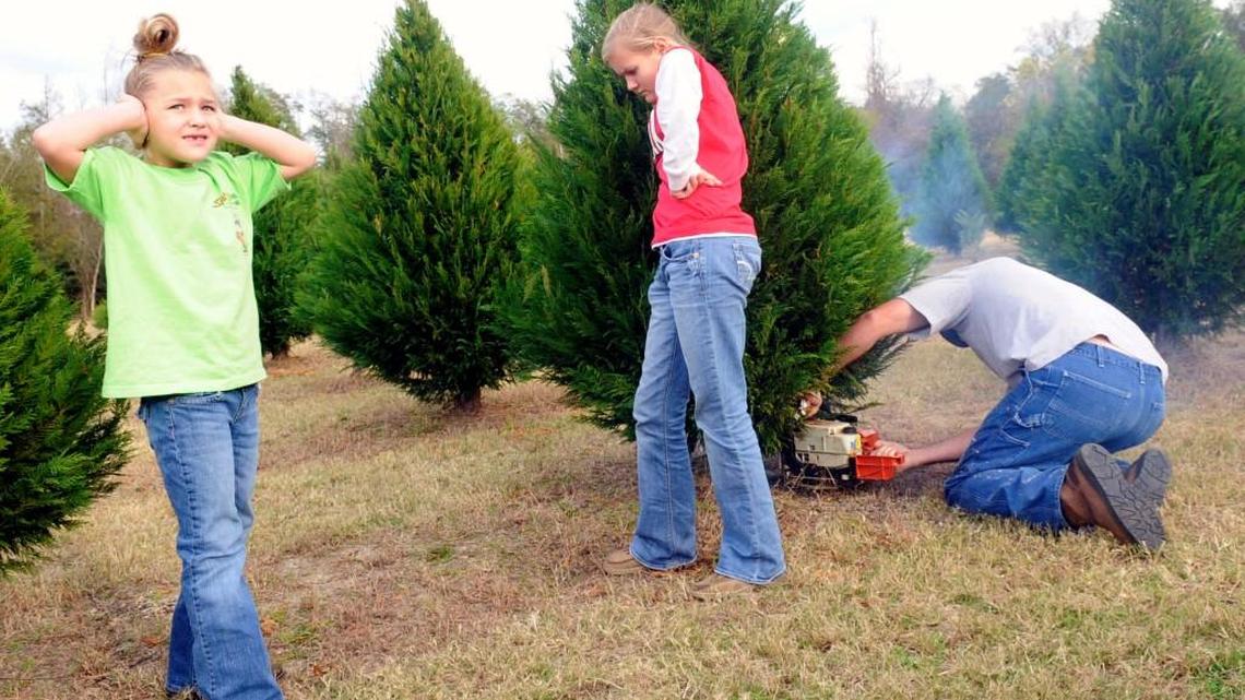 JASON VORHEES/THE TELEGRAPH. Kenna McElmurrey, 6, holds her ears as her dad, Wade, and sister Dabni, 12, cut down a Christmas tree at Double "B" Farms in Lizella.