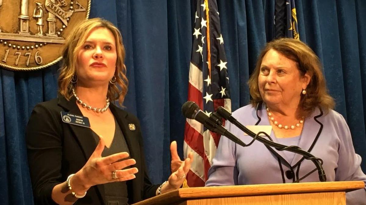 State Sen. Elena Parent (left) and state Rep. Pat Gardner, both Atlanta Democrats, want an independent commission to draw districts for the U.S. Congress and state Legislature. Speaking at the state Capitol, they argue that unfair maps give Republicans an unfair advantage.