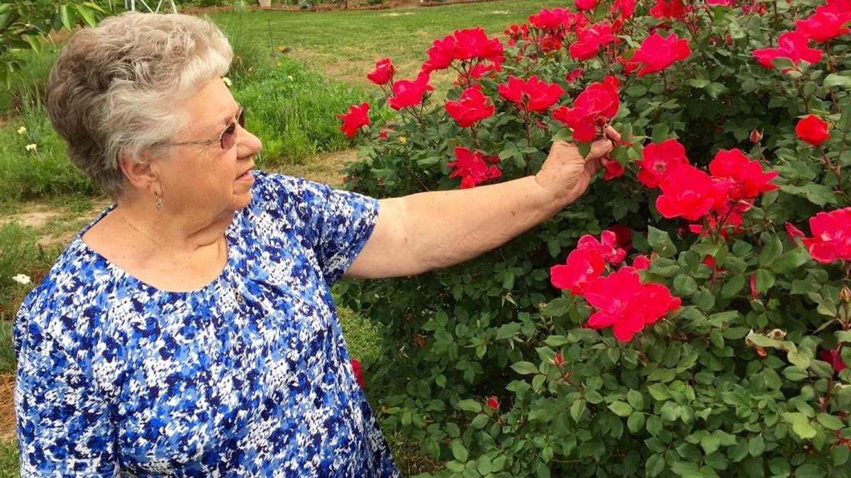 Emma Mullis has a green thumb when it comes to red roses.