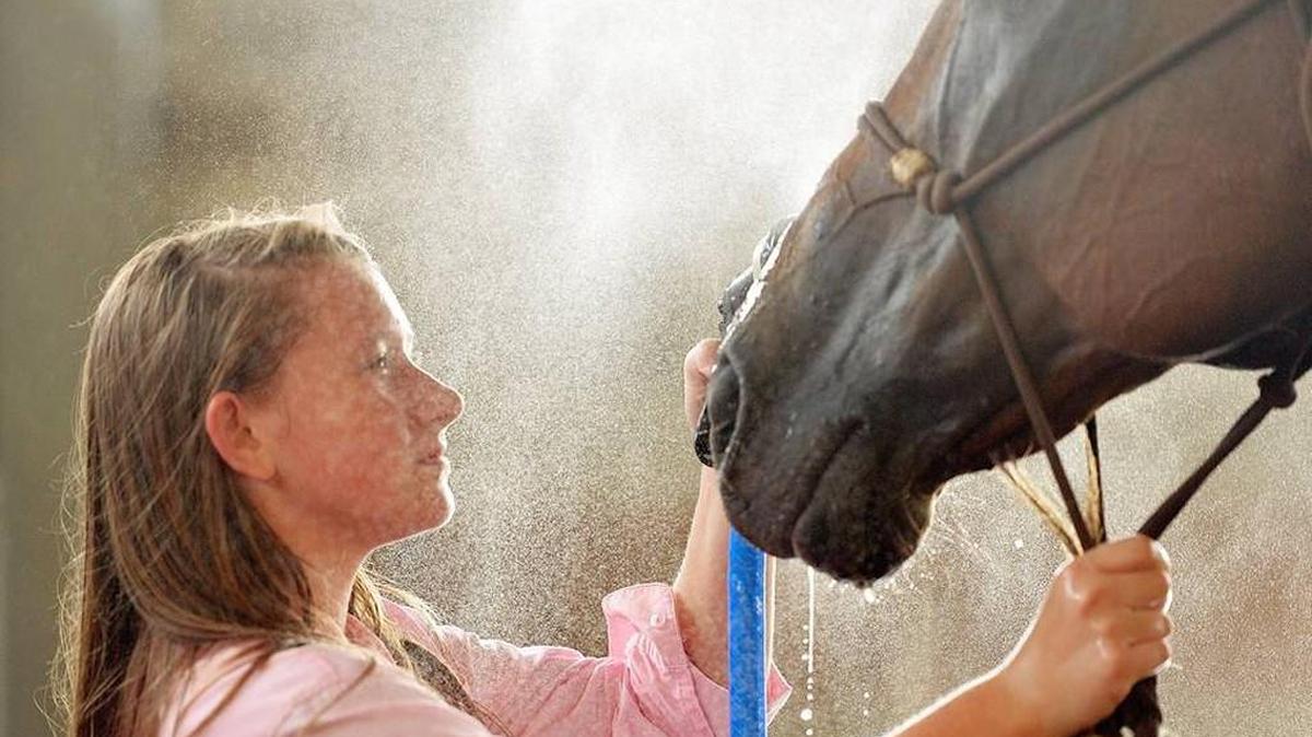Telegraph photographer Jason Vorhees won the AP’s feature photography category for his picture of Kellianne Nance, 13, who was cooling off her horse, Tiara, at the National Barrel Horse Association Youth World Championships in Perry last summer.
