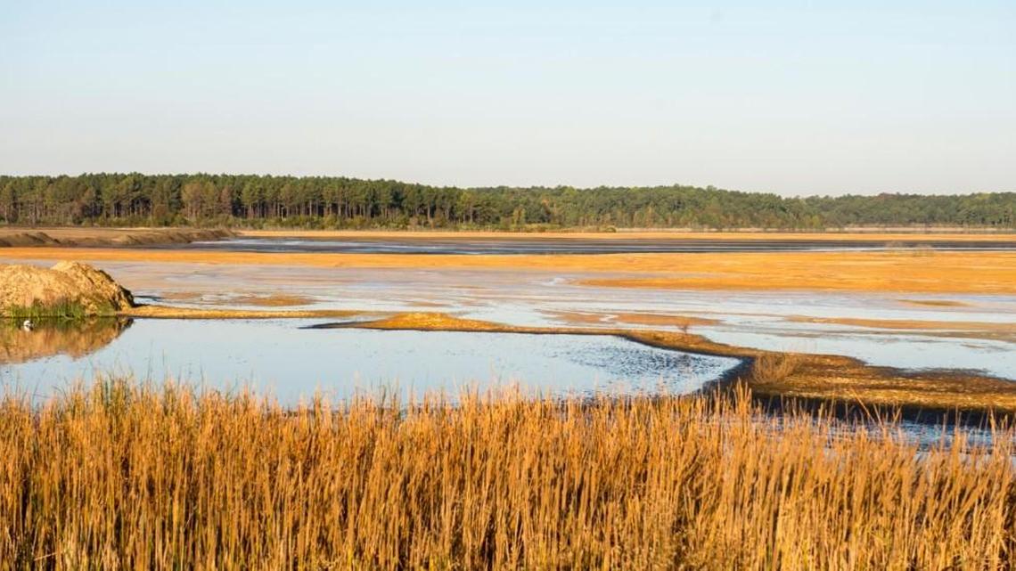 The Georgia Power coal ash pond at Plant Scherer, seen here in this undated company photo, will be closed over the next three years.