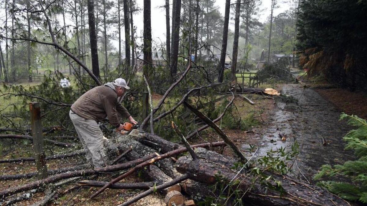 Numerous trees were toppled in a tornado that cut through Monroe County near Smarr on April 3, 2017.
