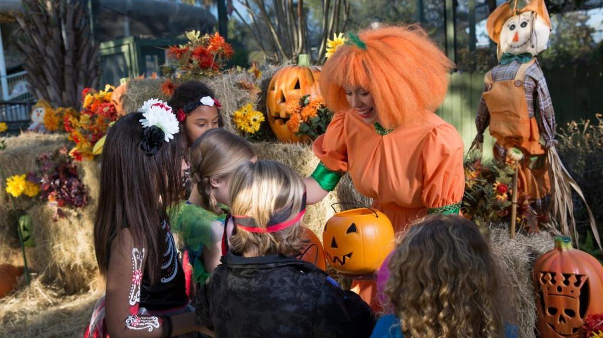 Children under 9 will be admitted free to Wild Adventures with a paying adult Sunday for rides, Trick-or-Treating and a costume contest.